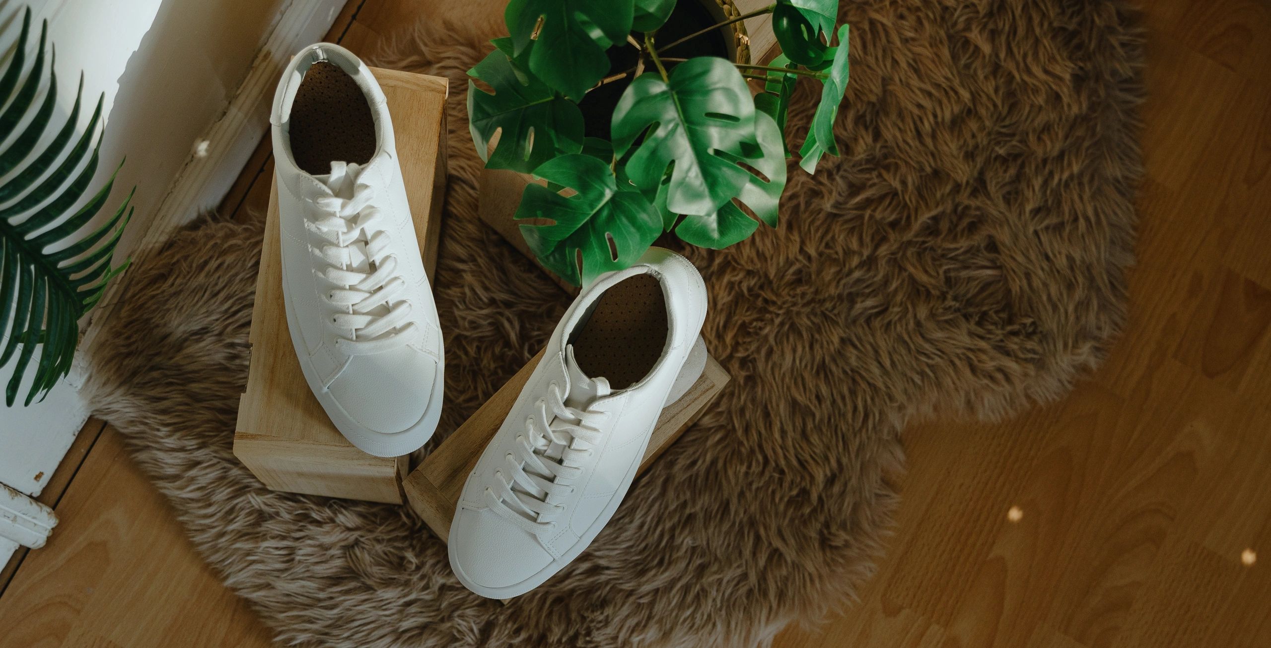 White sneakers displayed in a stylish retail setting
